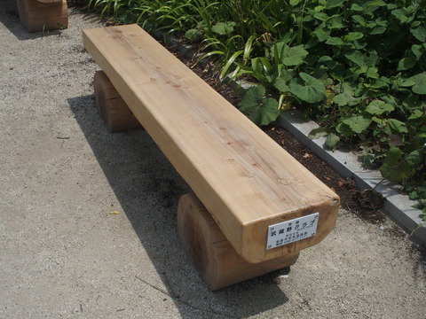 P6200372