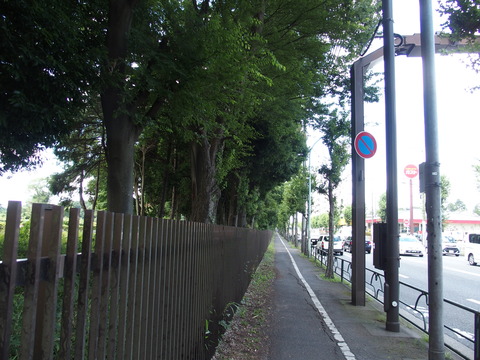 P8090004