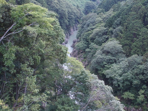 P8090079