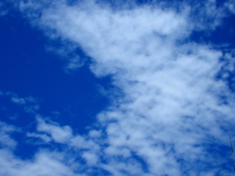 P8090002