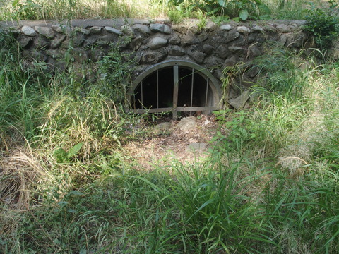 P6200442