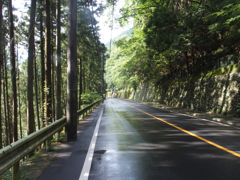 P8090056