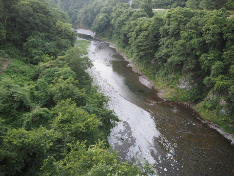 P6050030