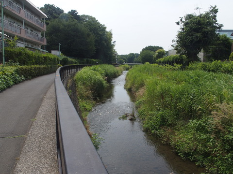 P6200387