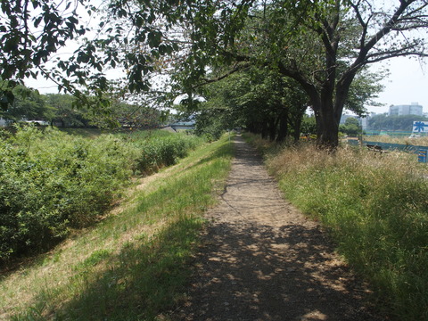 P6200322