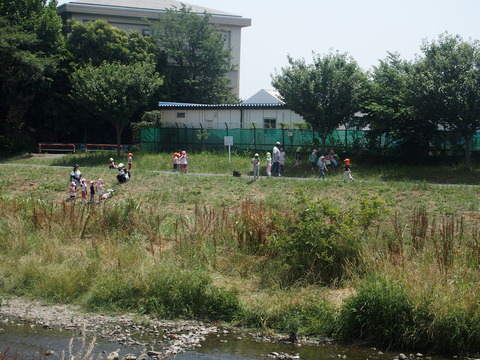 P6200288