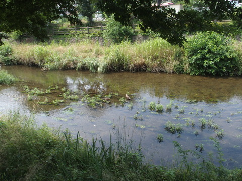 P6200382