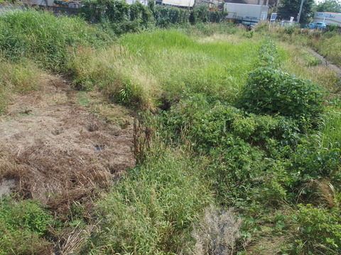 P6200413