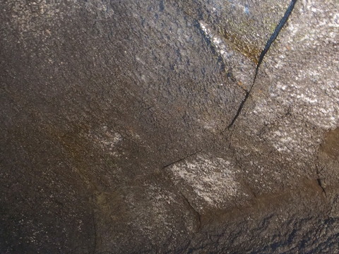 P8140157