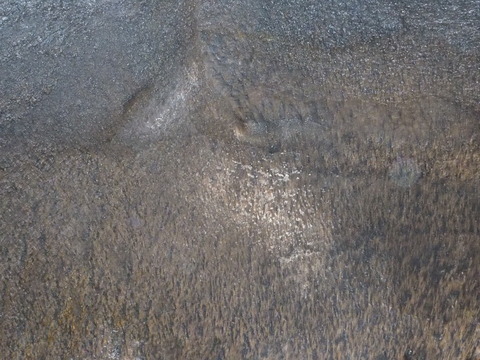 P8140153