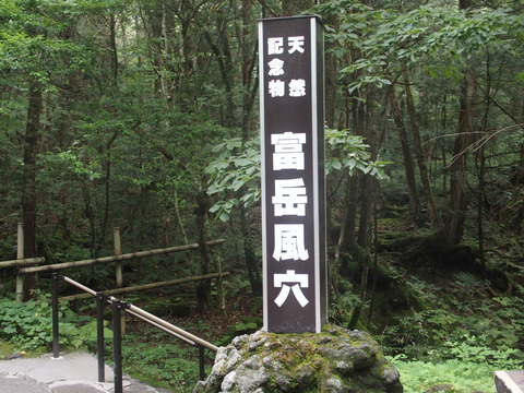 P8140145