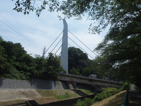 P6200345