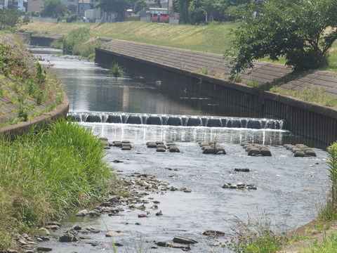 P6200344