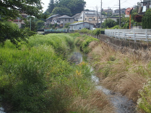 P6200398