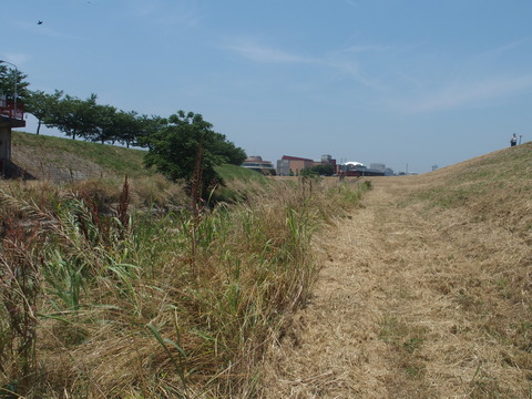 P6200312