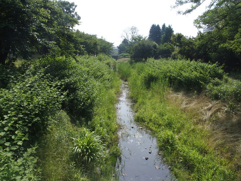 P6200429