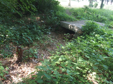 P6200444