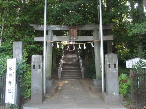 P6200423