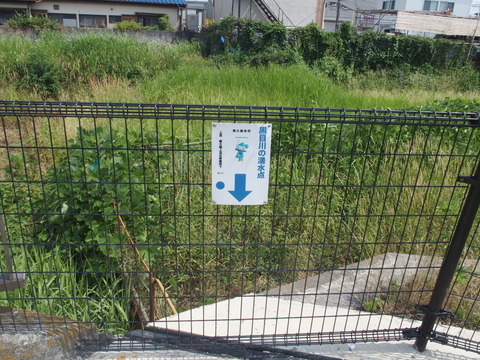P6200414