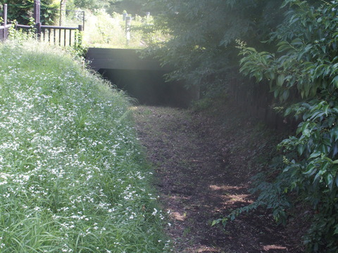 P6200432