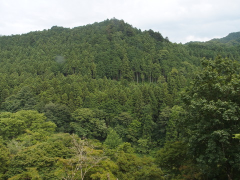 P8090062