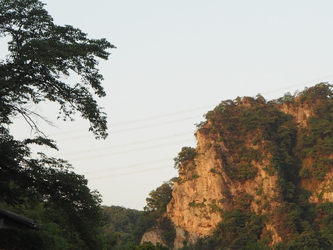 P6050041a