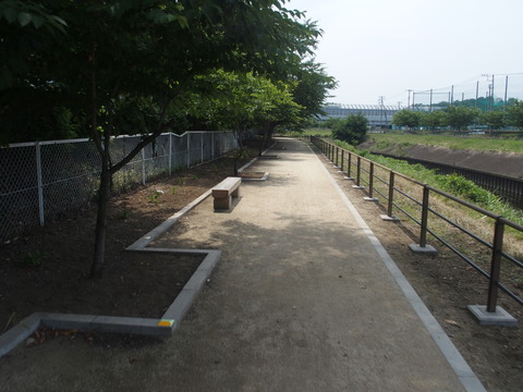 P6200373