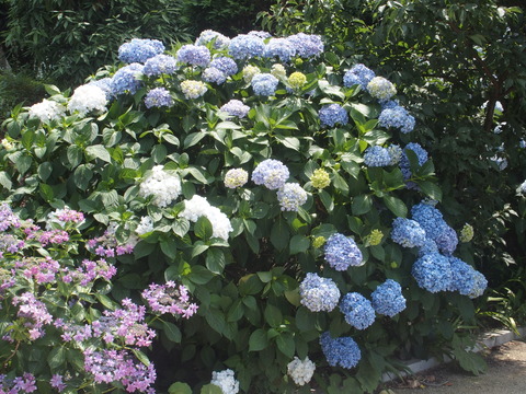 P6200371