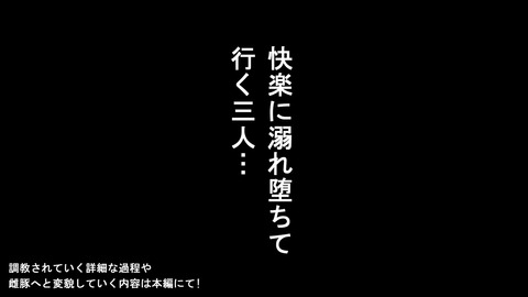 確実に孕ませようとしている画像って最高だよなｗｗｗ7143