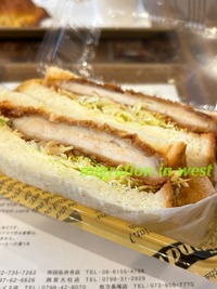 IMG_3835iju