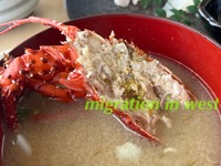 IMG_9075iju