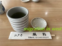 IMG_9051iju