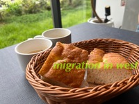 IMG_2198iju
