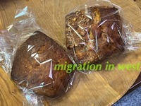 IMG_2452iju