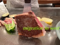IMG_2599iju