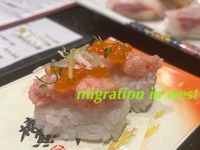 IMG_7495iju