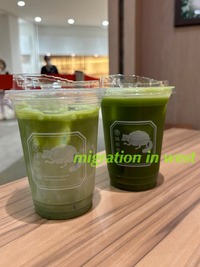 IMG_4456iju