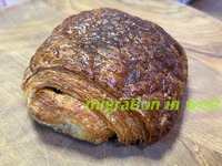 IMG_2389iju
