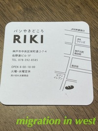 IMG_2033iju