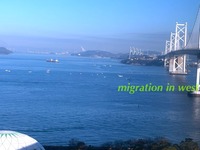 IMG_2625iju