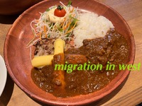 IMG_7553iju