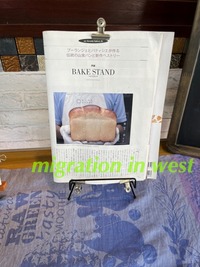 IMG_2372iju