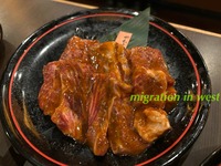 IMG_4554iju