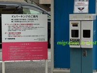 IMG_4405iju