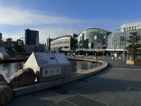 IMG_2584