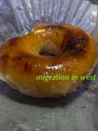 IMG_4461iju