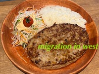 IMG_7556iju