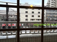 IMG_3105iju