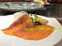 IMG_2580iju