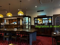 IMG_3098iju